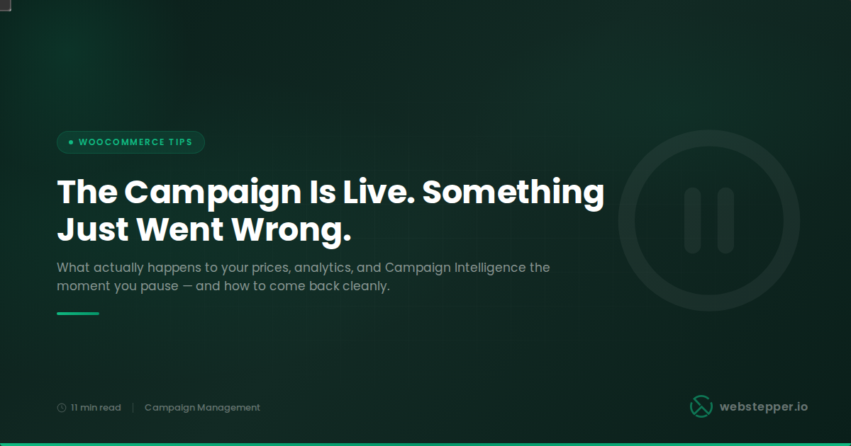 When to Pause a WooCommerce Campaign (And How to Do It Without Losing the Data)